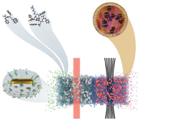 Investigadores da UMinho desenvolvem nanomaterial para combater o cancro