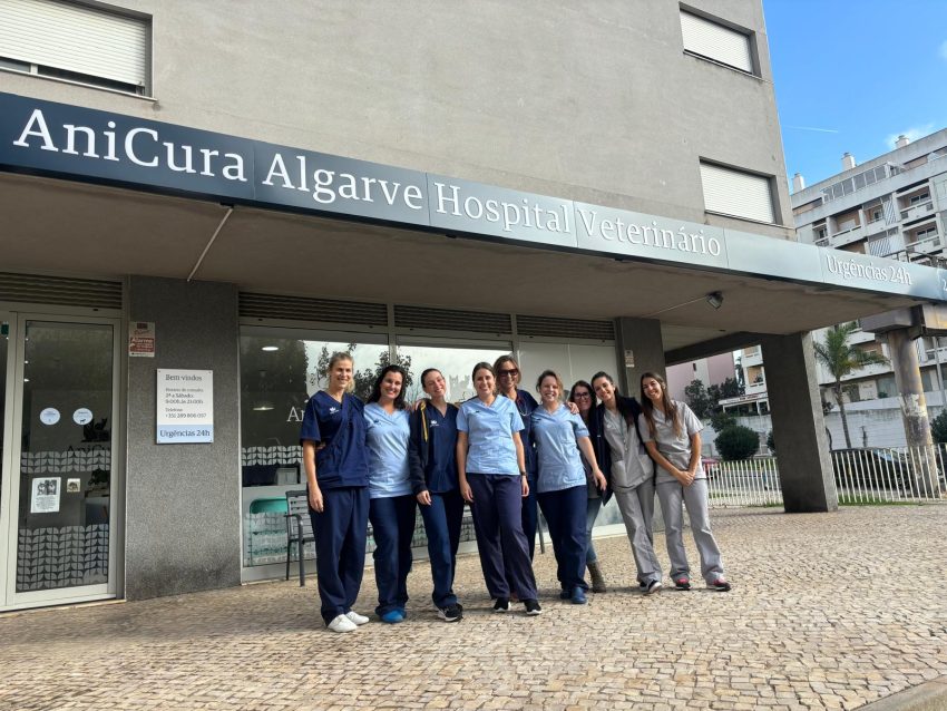 AniCura Algarve Hospital Veterinário expande estrutura e torna-se o hospital mais completo da região Sul