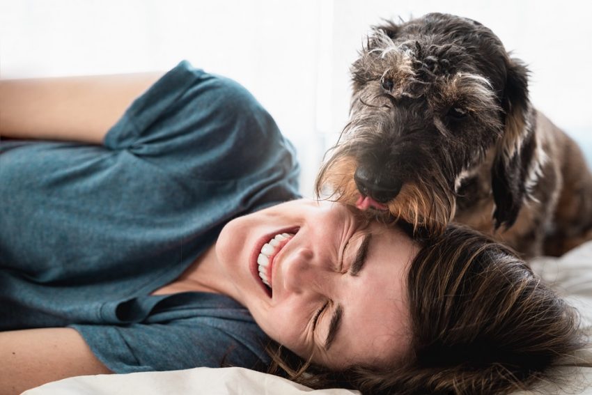 Estudo revela desconhecimento sobre a leishmaniose canina entre tutores de cães em Portugal, apesar da gravidade da doença