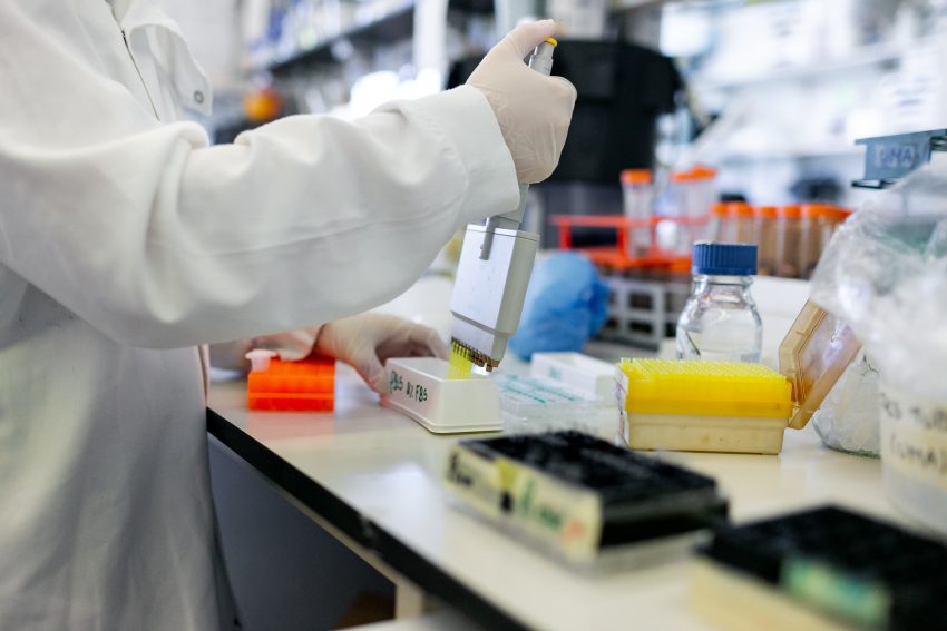 Faculdade de Medicina da Universidade de Lisboa apresenta nova Unidade de Investigação, Saúde e Inovação