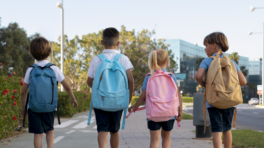 Regresso às aulas: a importância da preparação