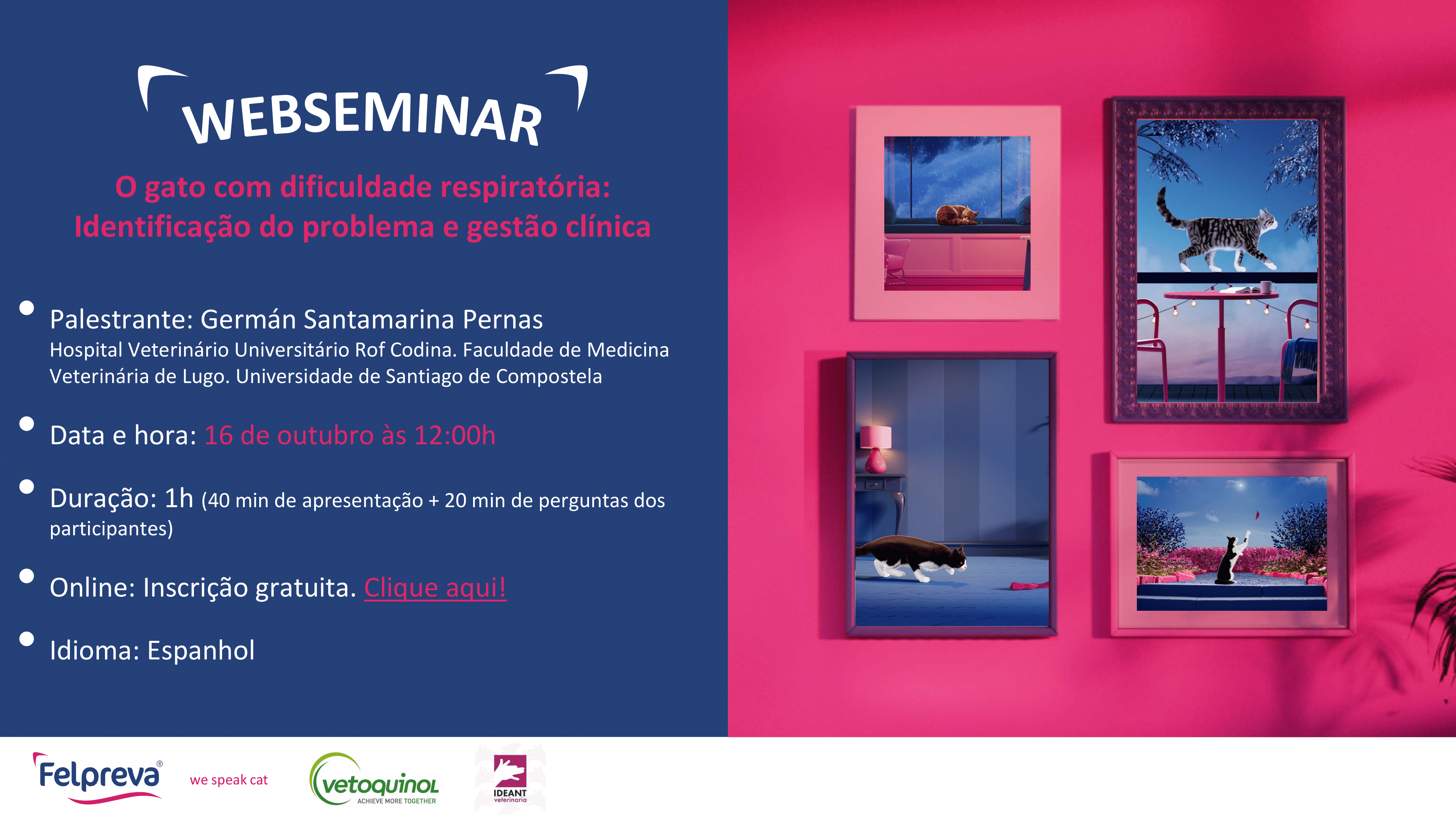 A Vetoquinol convida a participar no webinar “O gato com dificuldade respiratória: identificação do problema e gestão clínica”