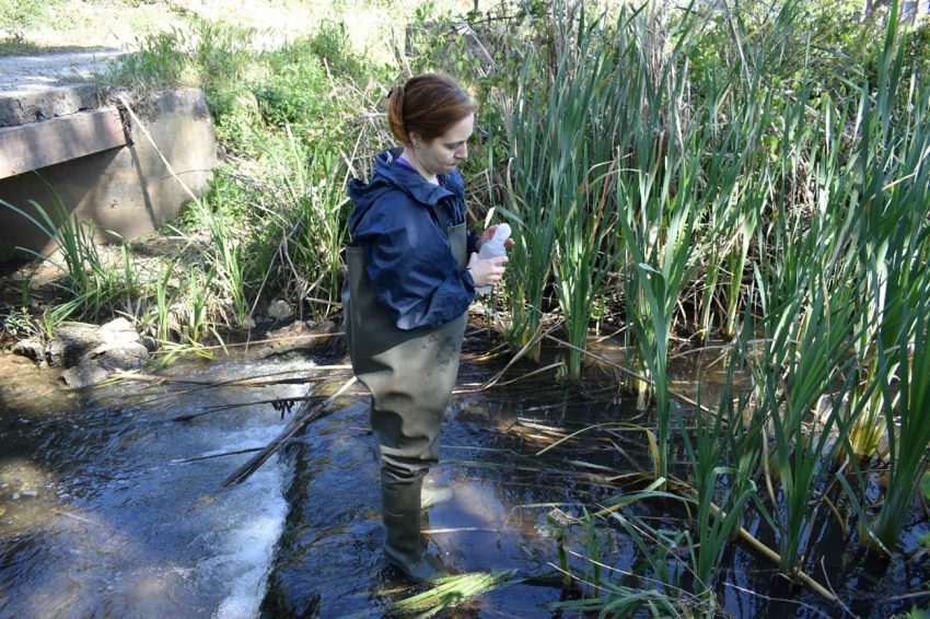 Investigadores alertam para elevada contaminação das ribeiras urbana europeias por fármacos