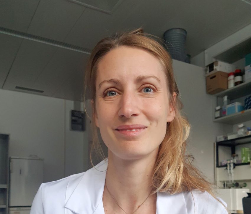 Investigadora da Universidade Católica recebe bolsa para estudar desenvolvimento do sangue no embrião