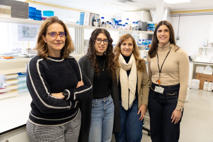 UA desenvolve novo método de diagnóstico para a infertilidade masculina