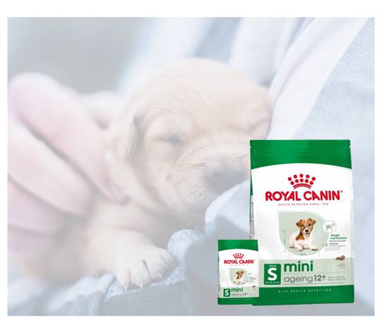 Mini Ageing 12 + cuidado que acompanha cada fase