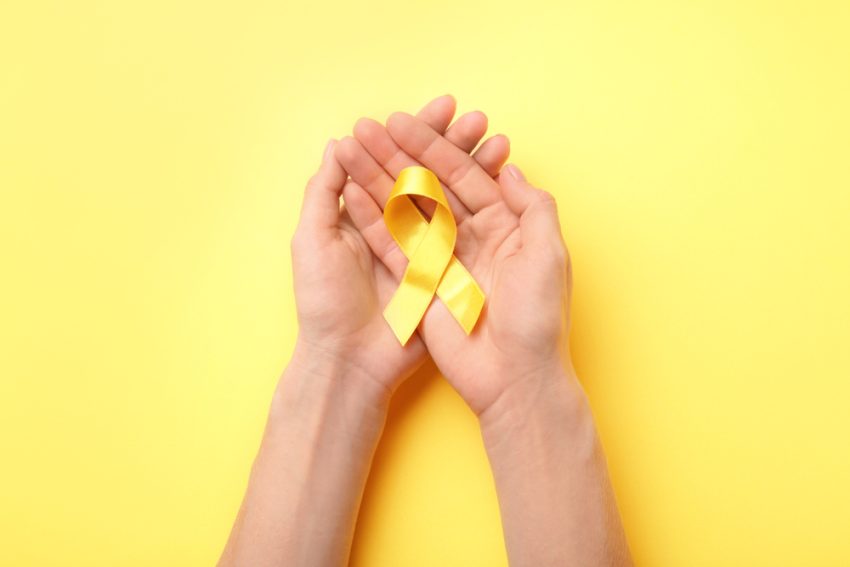 Associação Mulherendo envia Carta Aberta à DGS a exigir publicação de normas previstas na Lei 32/2025