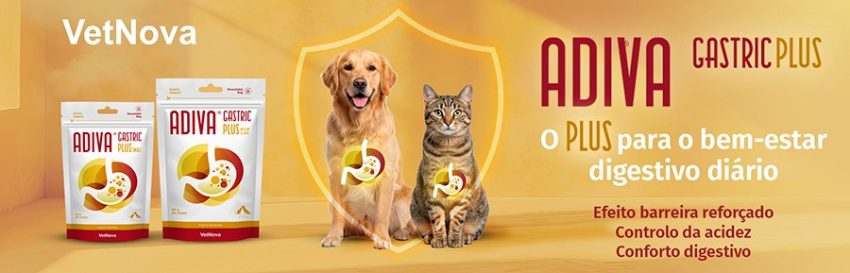 VetNova lança ADIVA® Gastric Plus: o “Plus” para o bem-estar digestivo diário