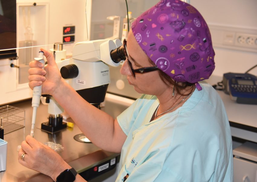 CRI Fertilidade da ULS Almada-Seixal há 15 anos a gerar vidas