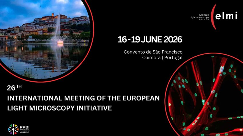 Coimbra recebe esta semana o principal encontro europeu de bioimagem