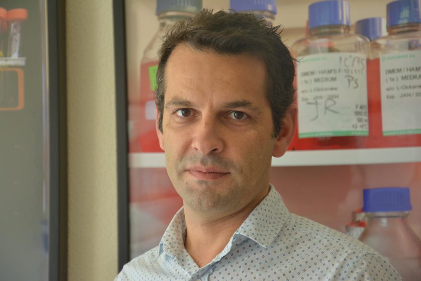 Henrique Girão eleito para direção do organismo europeu de referência na formação doutoral em Biomedicina e Ciências da Saúde