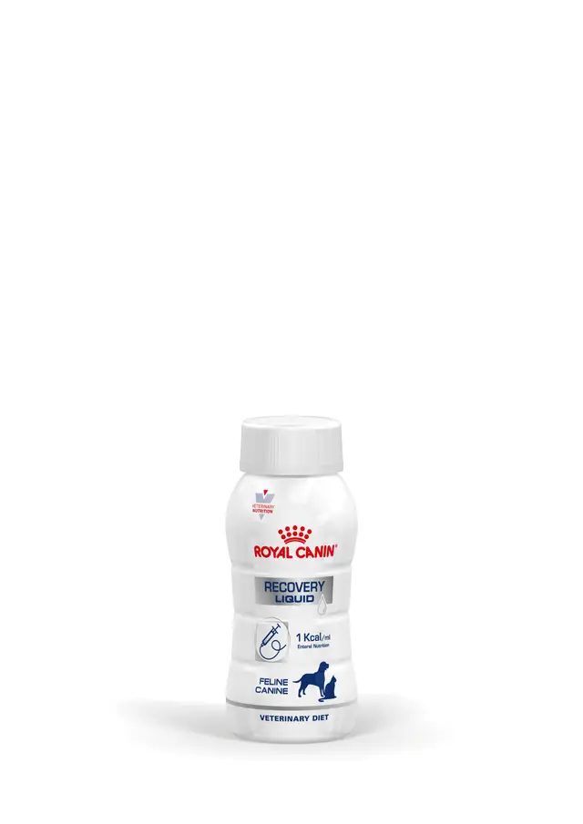 Recuperação Após Cirurgia