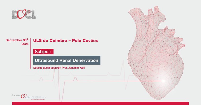 Cardiologistas de Intervenção reúnem-se para atualizar conhecimentos sobre desnervação renal por ultrassons